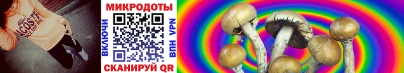 OMG как зайти  Кувандык  Псилоцибиновые грибы мицелий 